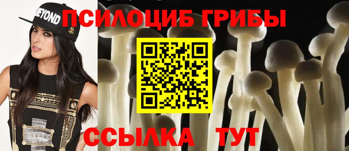 Галлюциногенные грибы Psilocybe  Галлюциногенные грибы Cubensis  Вход с VPN  Корсаков 