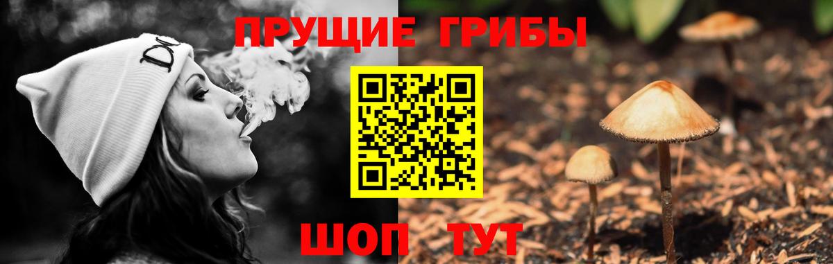 Псилоцибиновые грибы GOLDEN TEACHER Корсаков