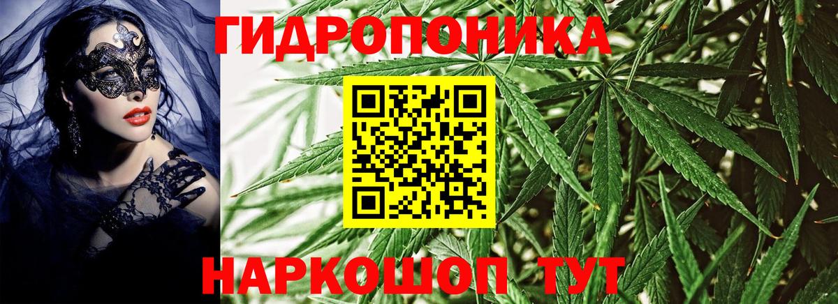 Марихуана Bruce Banner Корсаков